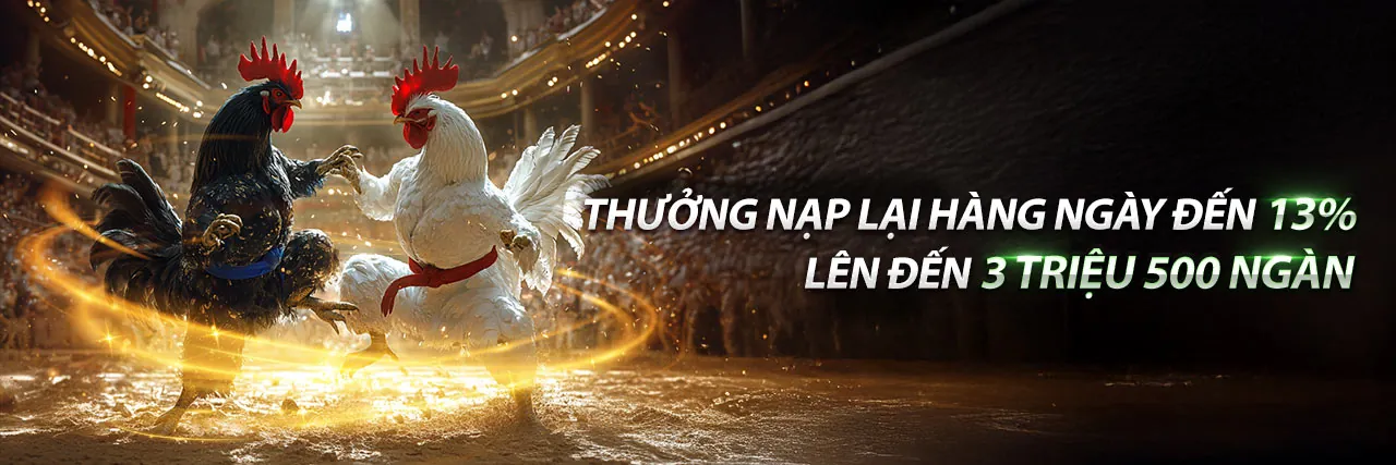 Đối tác Vina58 Nhà Cái - Hợp tác thành công