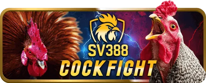 Slot Game & Nổ Hũ Vina58